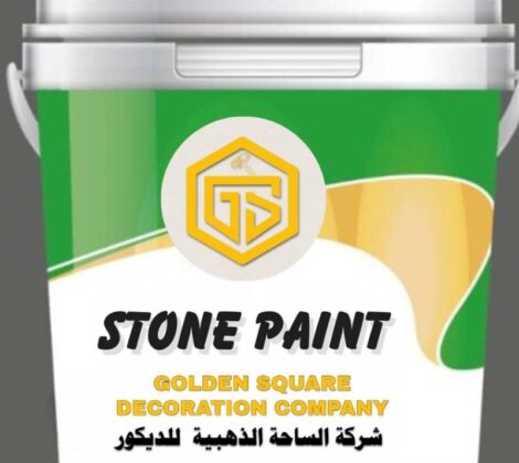 Stone Paint