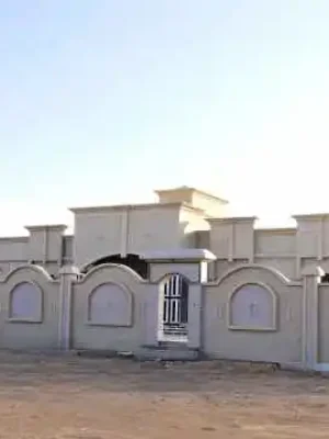 Stone Paint